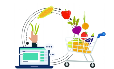 生鲜农产品电商为何难以突围——以土特产为例