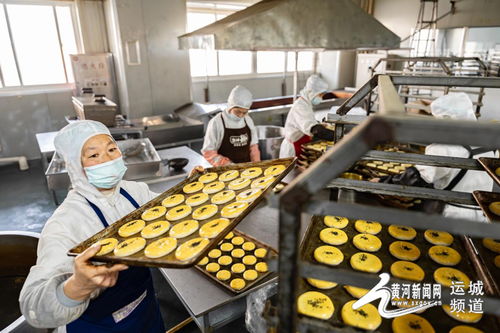 家门口就业促增收 芮城农产品产业绘就富民新图景