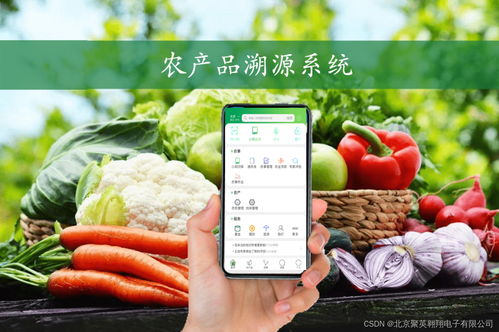 揭开农产品溯源系统的神秘面纱 守护餐桌上的每一份信任