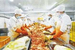 吉林农产品加工业加速向“三化”发展，土特产迎来新机遇