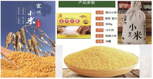 宜川县延安红农产品贸易有限责任公司 打造黄土高原特色农产品的闪亮名片