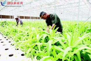 完善大监管体系 筑牢农产品安全防线