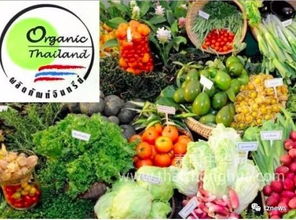 阿披拉迪 推动有机农产品走出国门，让泰国土特产香飘世界