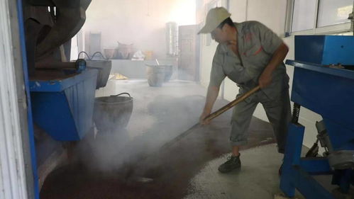 子承父业守匠心，诚信经营耀非遗——池州老字号农产品的传承与新生